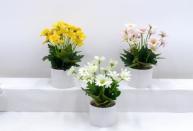 Bonsái decorativo, 24 cm, 7,5 cm, modelo 147764