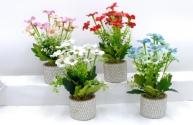 Bonsái decorativo, 30 cm, 8 cm, modelo 147770