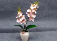 Bonsái decorativo, 45 cm, 11,5 cm, 8 cm, modelo 147781