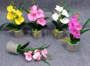 Bonsái decorativo, 33 cm, 8 cm, modelo 147794