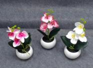 Bonsái decorativo, 27 cm, 6,5 cm, 9 cm
