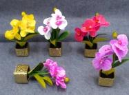 Bonsái decorativo, 29 cm, 6,5 cm, 8 cm