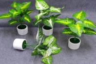Bonsái decorativo, 29 cm, 7,5 cm, 9 cm, color verde