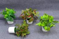Bonsái decorativo, 27 cm, 7,5 cm, 9 cm, color verde