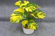 Bonsái decorativo, 28 cm, 8,5 cm, 9 cm, color verde