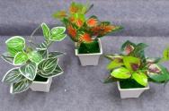 Bonsái decorativo, 23 cm, 8 cm, 8,5 cm, color verde, modelo 147813