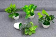 Bonsái decorativo, 23 cm, 7 cm, 8 cm, color verde, modelo 147814