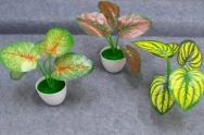 Bonsái decorativo, 23 cm, 7 cm, 8 cm, color verde, modelo 147815