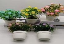 Bonsái decorativo, 8,5 cm, 25 cm, modelo 147831