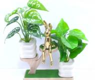 Bonsái decorativo, 27 cm, 8 cm, color verde