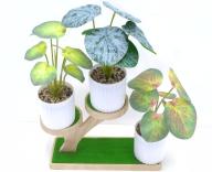 Bonsái decorativo, 22 cm, 7,5 cm, color verde