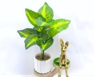 Bonsái decorativo, 33 cm, 7 cm, color verde
