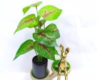 Bonsái decorativo, 34 cm, 8 cm, color verde