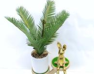 Bonsái decorativo, 33 cm, 9,5 cm, color verde