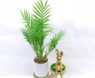 Bonsái decorativo, 45 cm, 9,5 cm, color verde