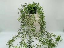 Bonsái decorativo, 94 cm, 8 cm, color verde
