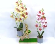 Bonsái decorativo, 50 cm, 8 cm