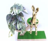 Bonsái decorativo, 18 cm, 8 cm, color verde, modelo 148052