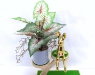 Bonsái decorativo, 31 cm, 8 cm, color verde