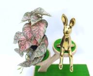 Bonsái decorativo, 18 cm, 8 cm, color verde, modelo 148060