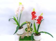 Bonsái decorativo, 43 cm, 7 cm, modelo 148094