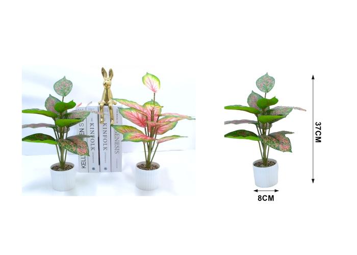 Bonsái decorativo, 8 × 37 cm, color verde