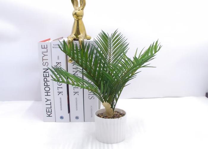Bonsái decorativo, modelo 148235