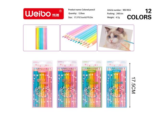 Lápices de colores, modelo WB-9054