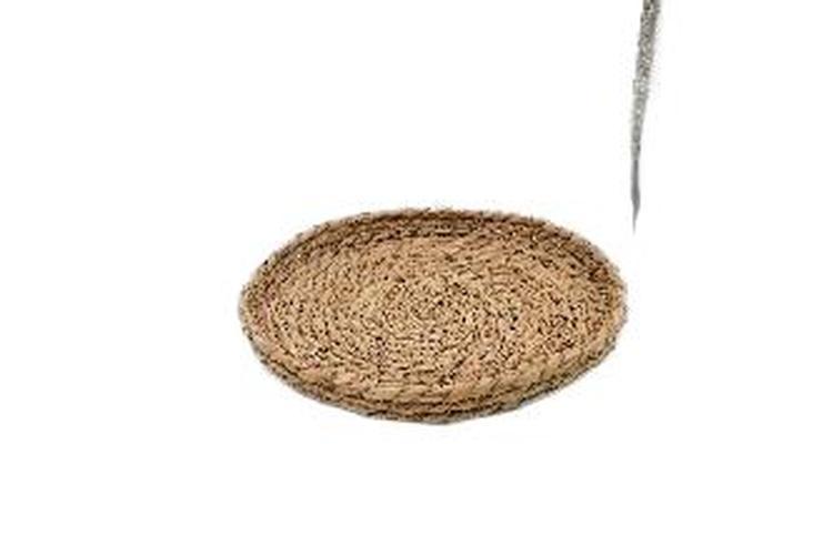 Panera, 28 × 3 cm